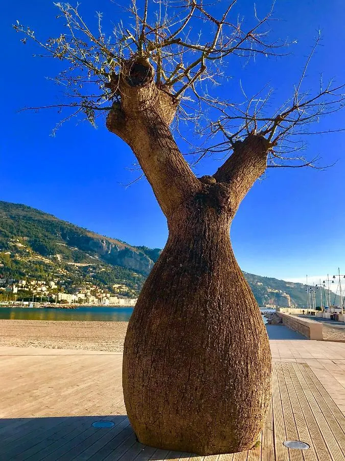 Longue 1 Menton Apartment